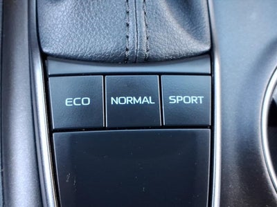 2024 Toyota Camry SE Nightshade